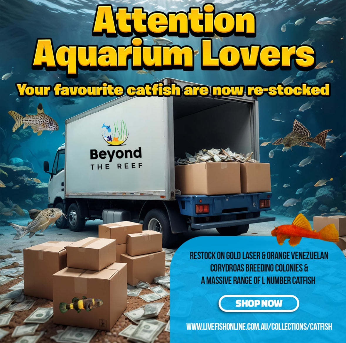 Beyond The Reef Aquariums 