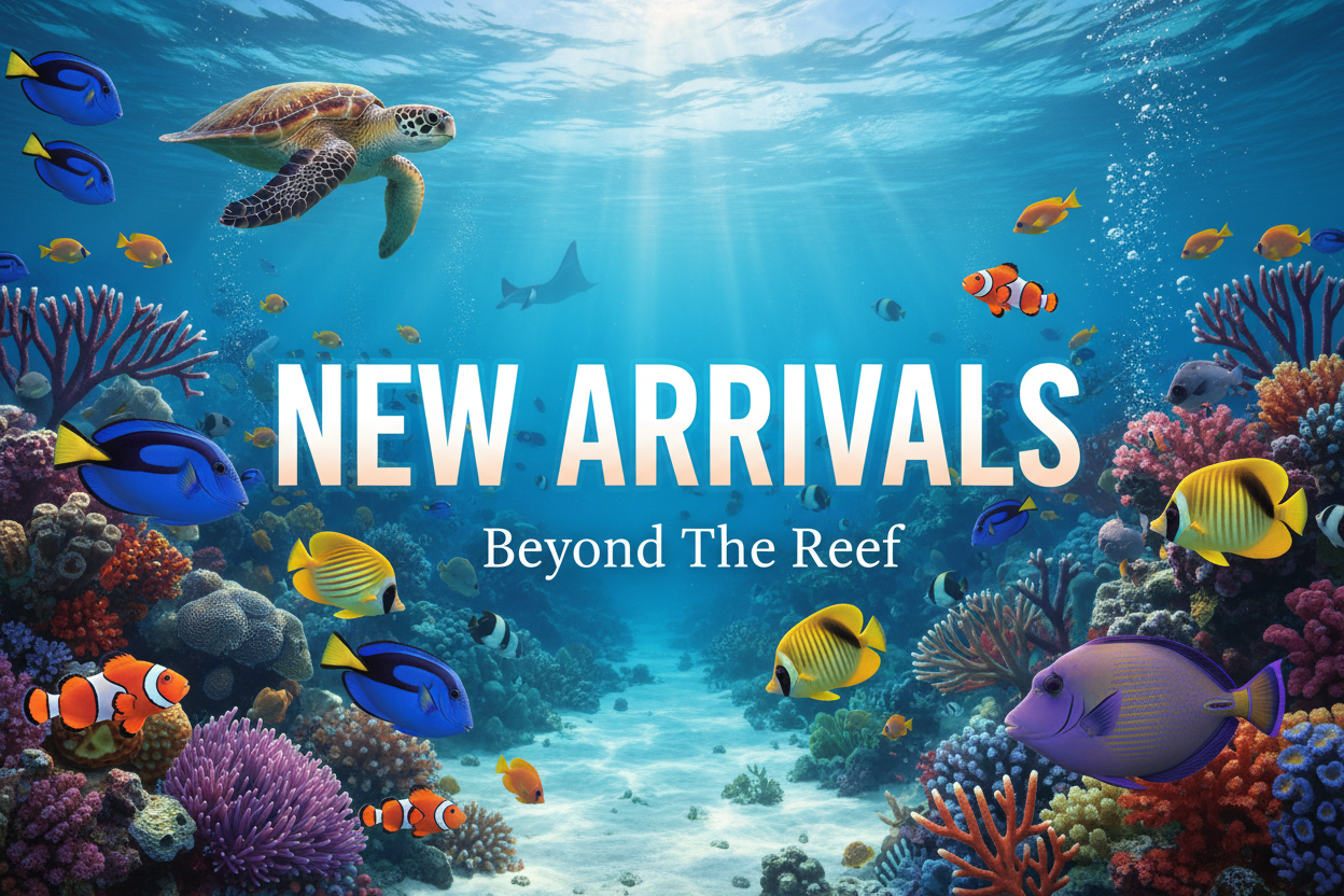 beyond the reef new arrivals